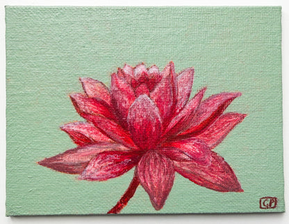Lotus Flower Study 1