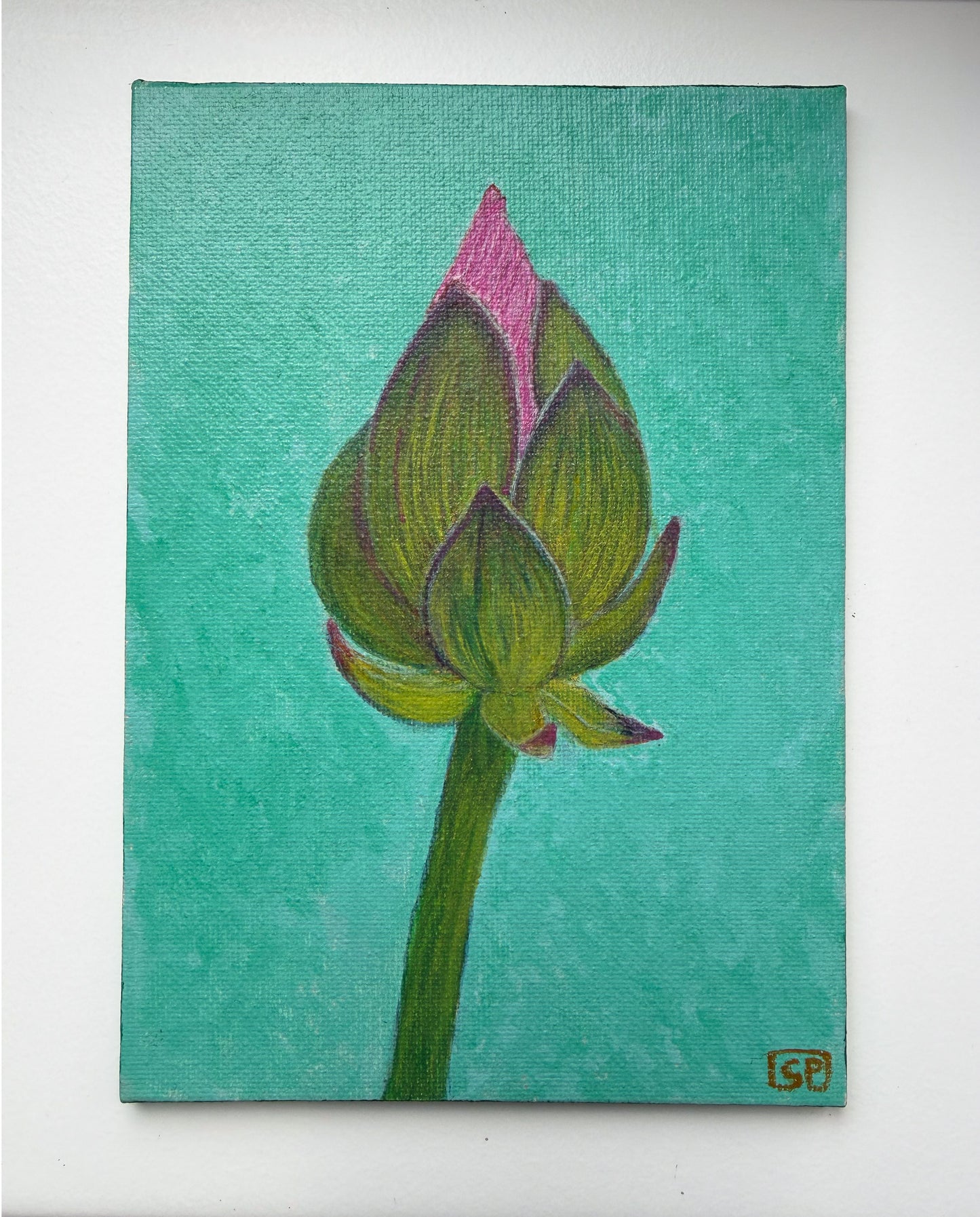 Lotus Flower Study 2