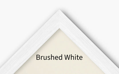 Brushed white frame sample image