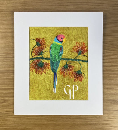 Devansh: Open Edition Prints on Paper - Geraldine Platten Art - Prints on paper