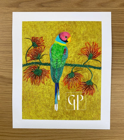 Devansh: Open Edition Prints on Paper - Geraldine Platten Art - Prints on paper