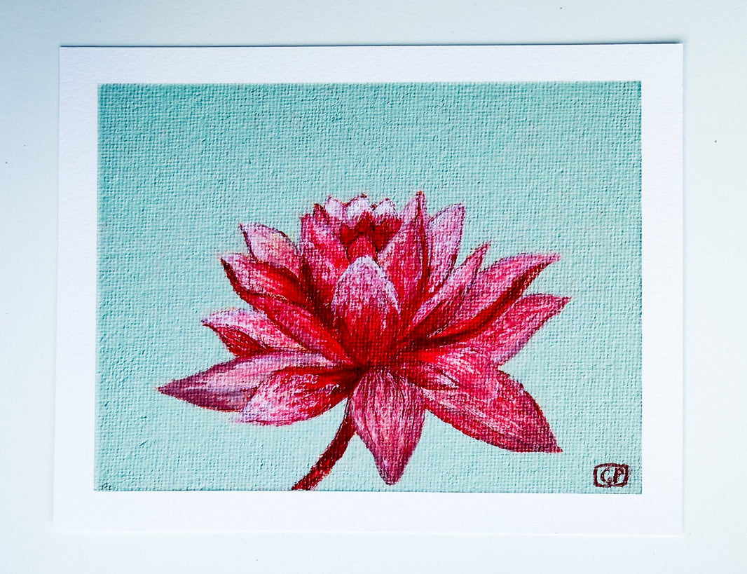 Lotus Flower Study 1 - Print (6x4.5 inches) - Geraldine Platten Art - Print only