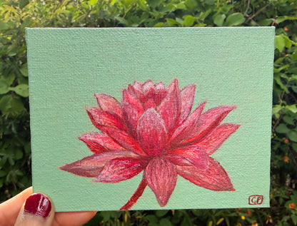 Lotus Flower Study 1 - Geraldine Platten Art - Studio Range Original
