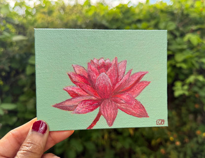 Lotus Flower Study 1 - Geraldine Platten Art - Studio Range Original