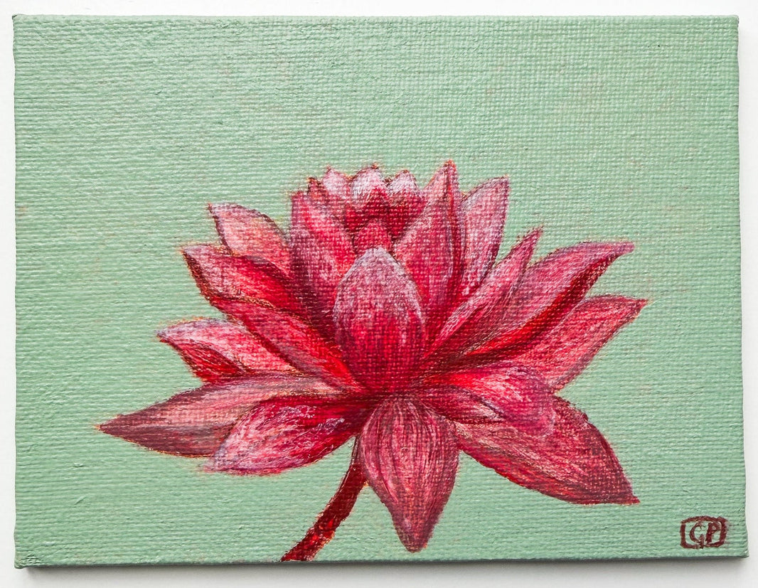 Lotus Flower Study 1 - Geraldine Platten Art - Studio Range Original