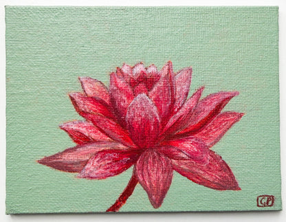 Lotus Flower Study 1 - Geraldine Platten Art - Studio Range Original