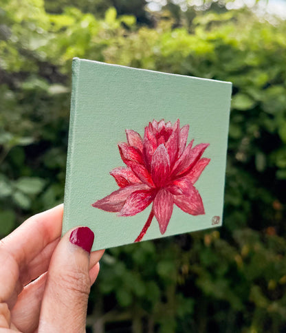 Lotus Flower Study 1 - Geraldine Platten Art - Studio Range Original