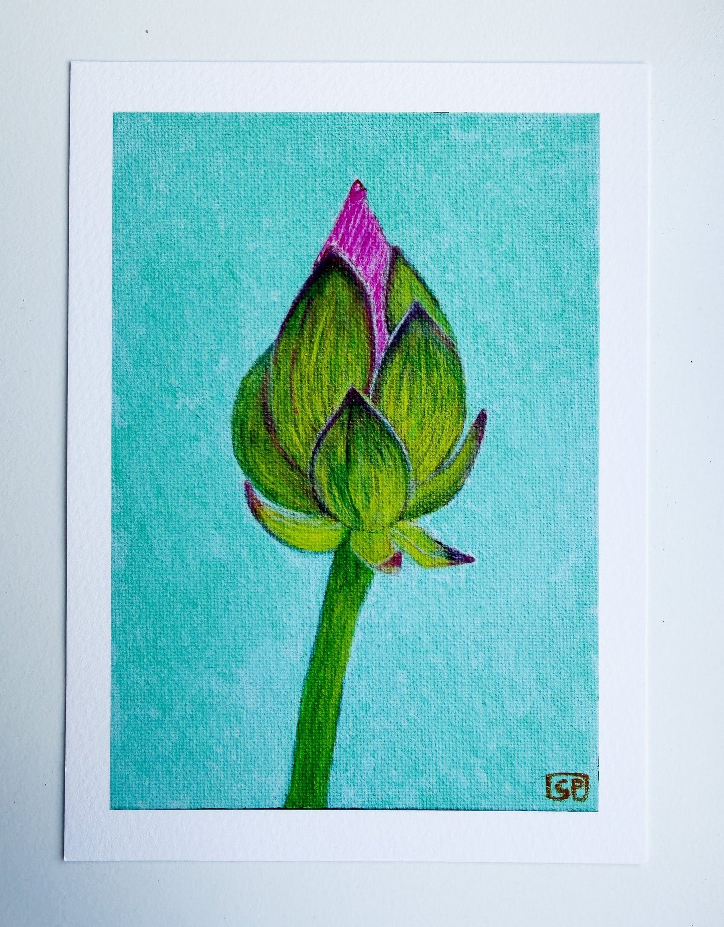 Lotus Flower Study 2 - Print (7x5 inches) - Geraldine Platten Art - Print only