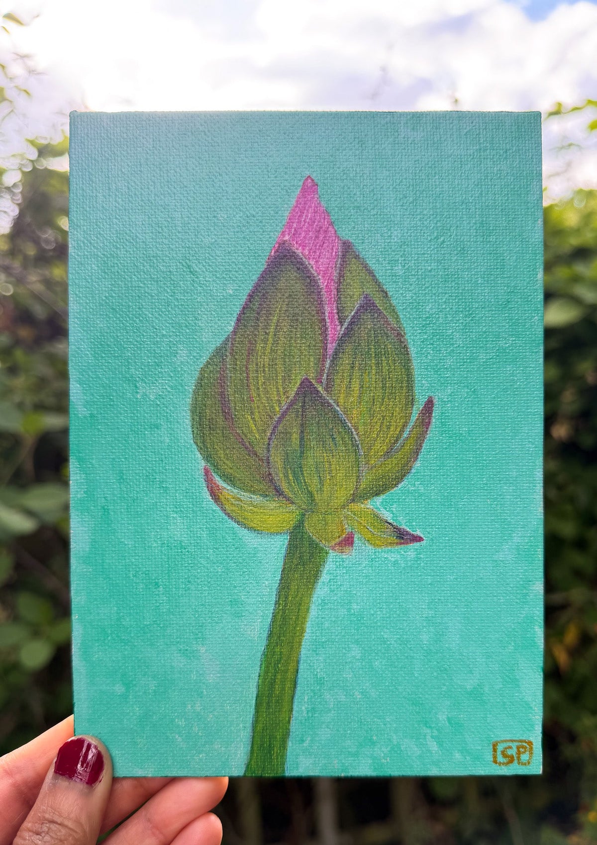 Lotus Flower Study 2 - Geraldine Platten Art - Studio Range Original
