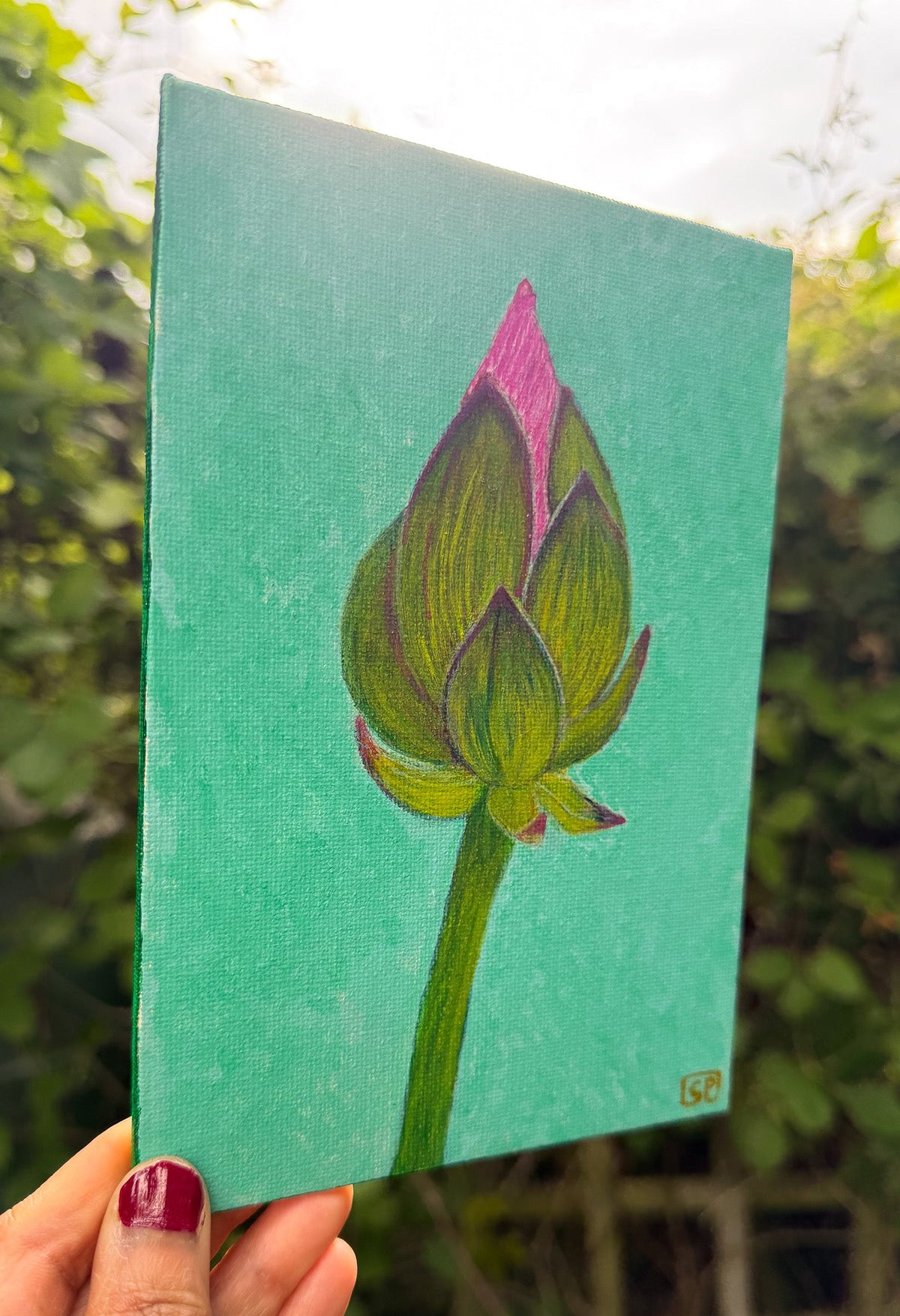 Lotus Flower Study 2 - Geraldine Platten Art - Studio Range Original
